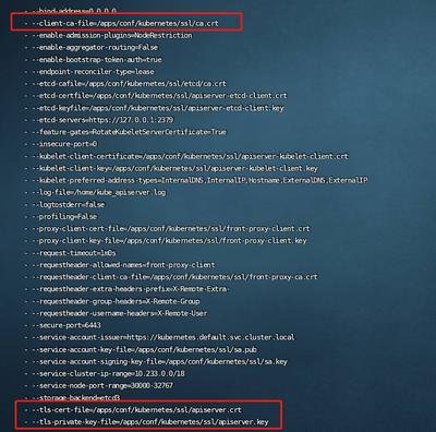 图 4 API Server 的启动配置