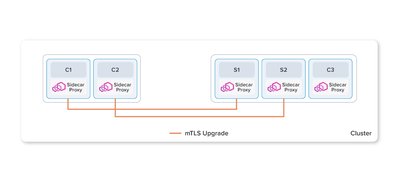 Istio 的传统模式是将 Envoy 代理作为 sidecar 部署在工作负载的 pod 中。