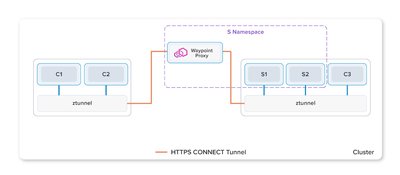 当需要额外的功能时，Ambient Mesh 会部署路径代理，Ztunnel 通过这些代理进行连接以执行策略。