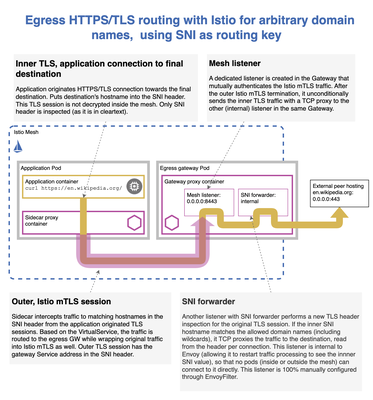 具有任意域名的出口 SNI 路由