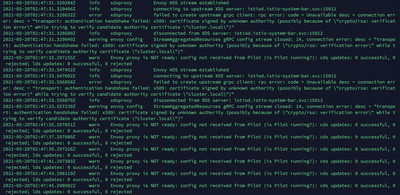 Ingress Gateway 启动错误日志